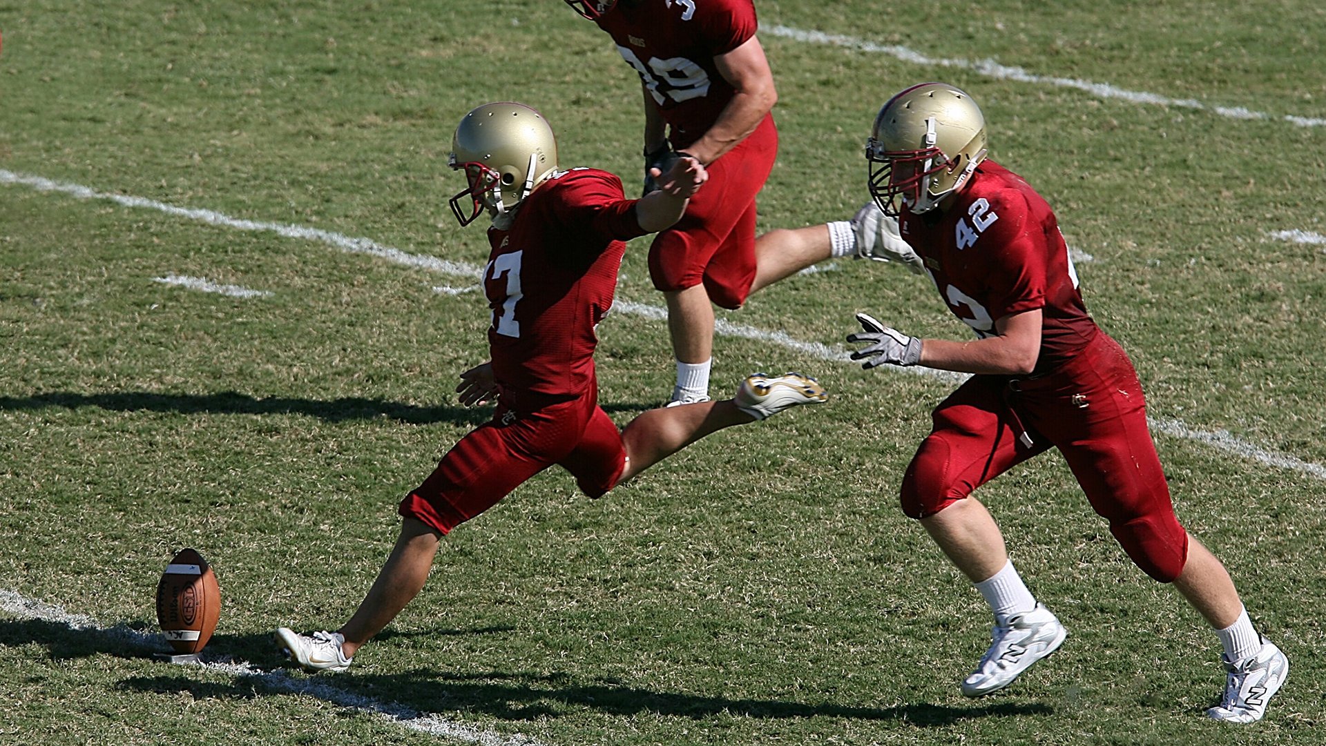 自由人新赛季阵容亮点聚焦,自由人怎么玩