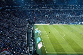 开云·体育官网-全球最炫酷的WRC赛道大盘点，wrc the official game